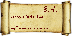 Brusch Amália névjegykártya